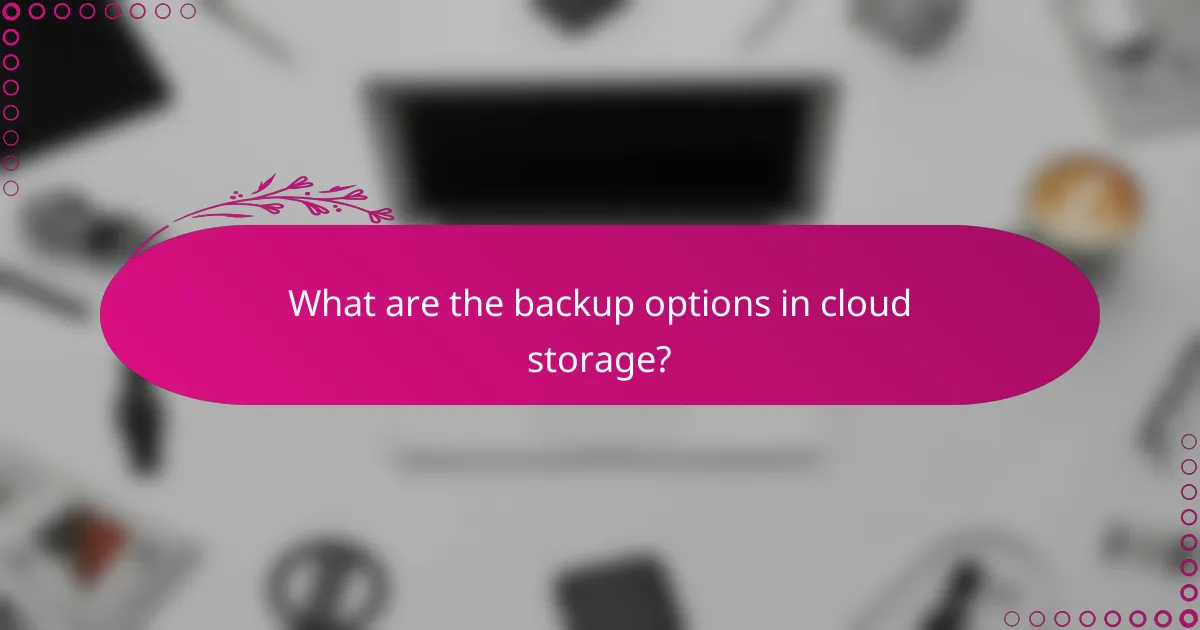 What are the backup options in cloud storage?