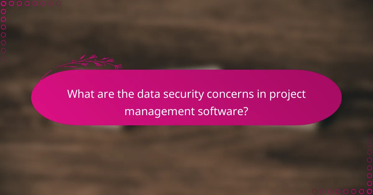 What are the data security concerns in project management software?